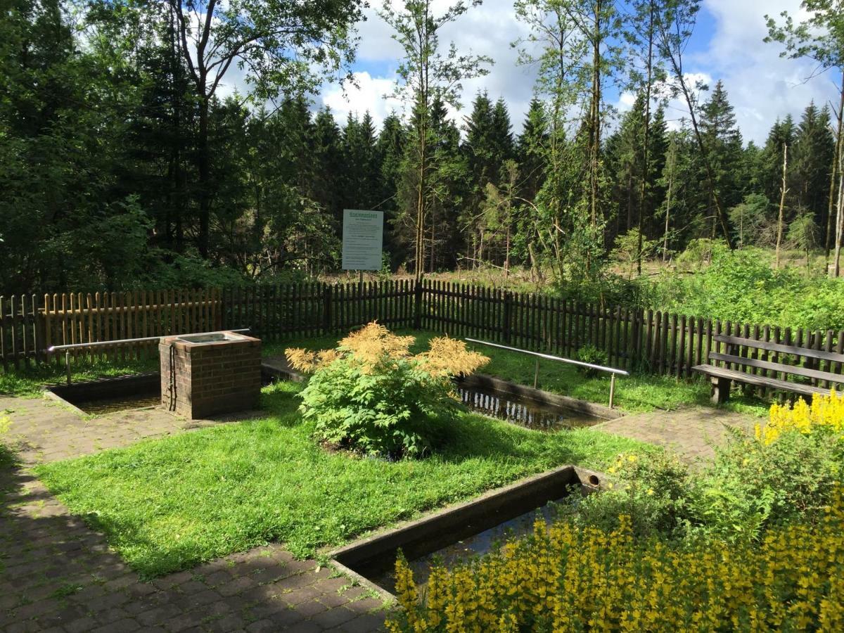 Hahnenklee Ferienpark 136 Goslar Exterior foto